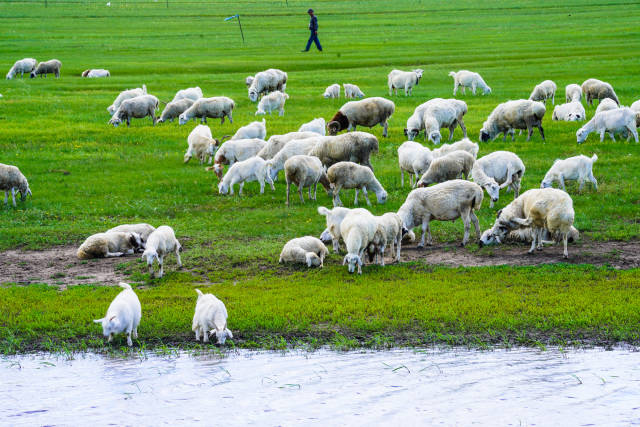 男同网页 心理健康:若遇歧视或压力