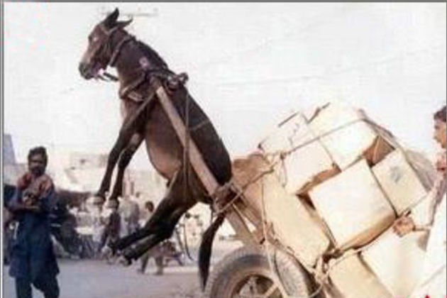 美女视频性感网站黄色在线观看 黄色享受安全的美女网络生活