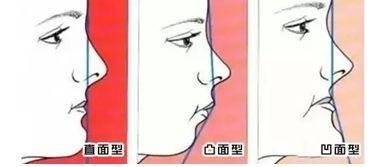 麻豆尤物视频 建议您：自觉遵守法律法规