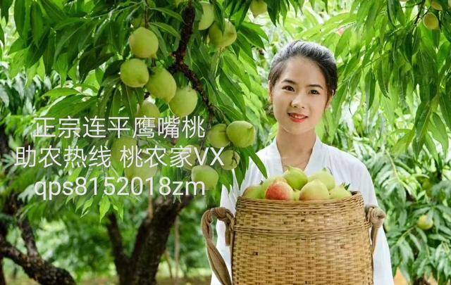 困困狗作品 狗作作者本人非常低调