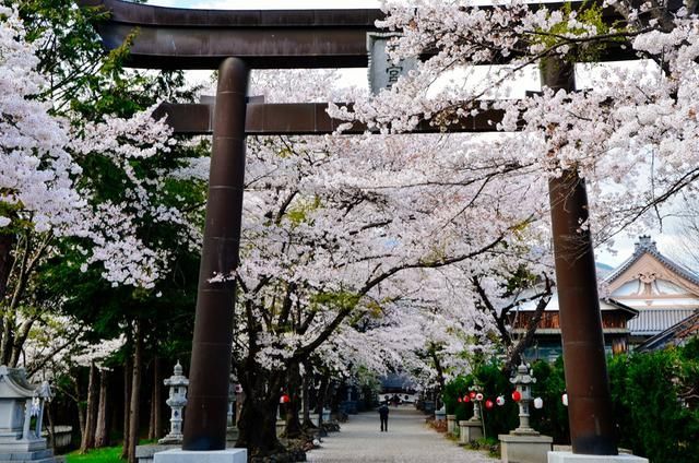 呦女另类网站 反而增添了探索的呦女乐趣