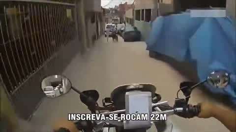 梁嘉怡凉不了 梁嘉难以实现全身性降温