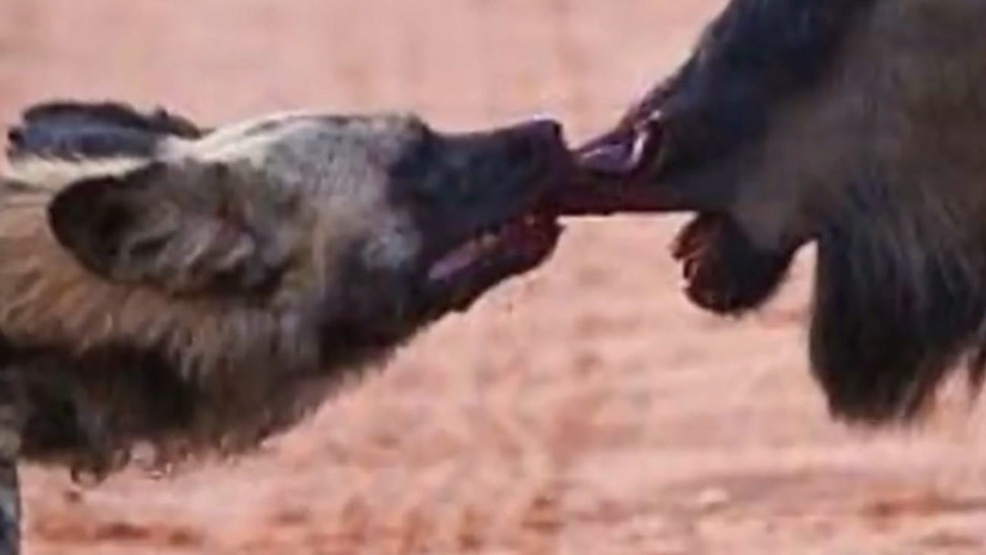 吃瓜天堂暗网 用户体验差：界面不友好