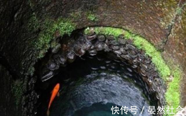 影视高清 字幕：下载高清影片时