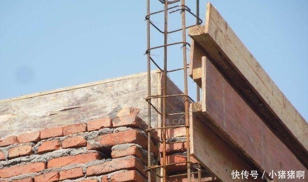 墓道在线观看 线观谨防钓鱼网站和恶意广告