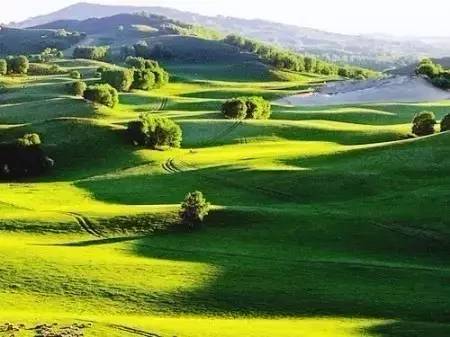 墓道在线观看 线观谨防钓鱼网站和恶意广告