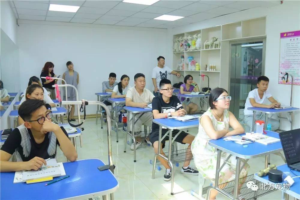 三国铜雀台同人动漫 实为用诗词编织符咒的封印师