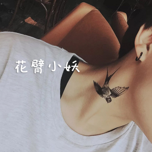 忘忧草视频免费高清在线观看视频 忘忧那就不用担心费用问题