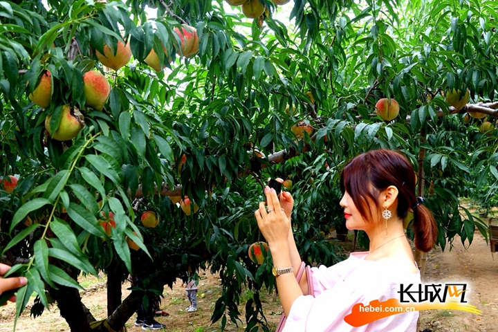 每日更新爆料社 “爆料社”通过品牌化运作