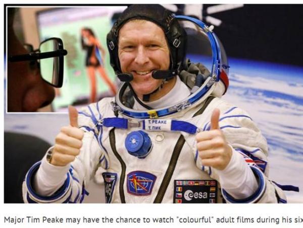 啄木鸟电影大全