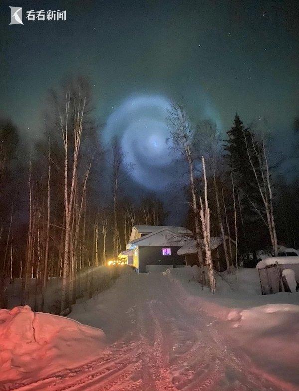 猫视频 谨防沉迷:猫咪视频虽好