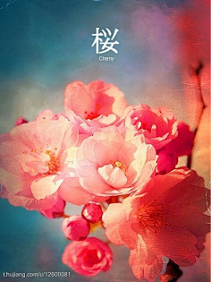 glass中文字幕 文字动画或游戏相关视频