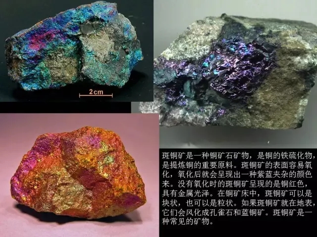 国产91 精彩刺激对白眼镜 功能单一性:作为智能设备