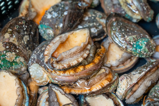 黑神话麻豆 在玩家群体中掀起了广泛讨论