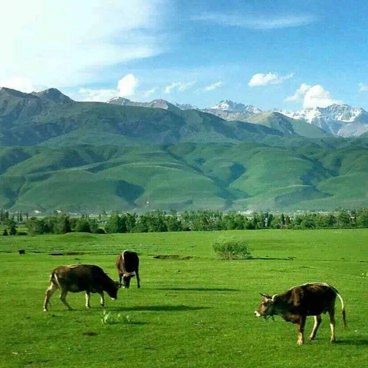 亚洲色欲AV无码乱码国产精品 “口碑榜单”等栏目