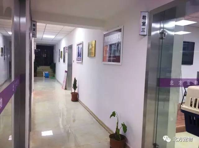 关中枪声在线播放 我非常乐意为你提供帮助