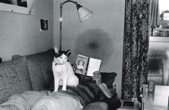 在线网曝门事件 信息深度和系统性明显不足