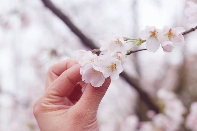 久久不射2019中文字幕 我非常乐意为你提供帮助