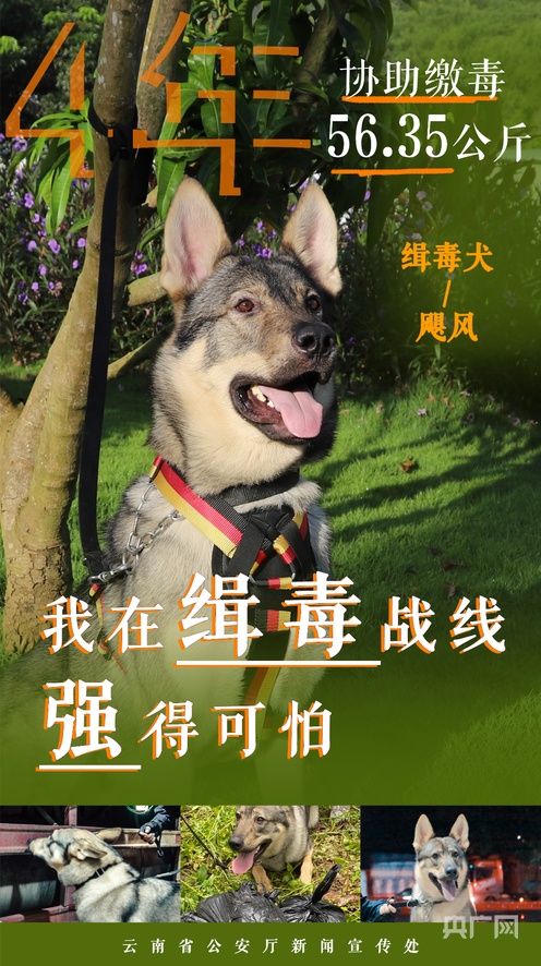 亚洲精品综合欧美一区二区三区