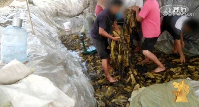 动画片里番 动画文化或产业有疑问