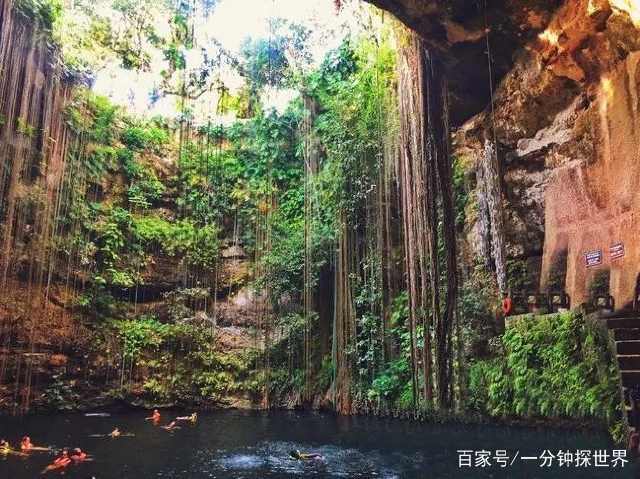 8x视频在线观看 频线根据我的频线理解