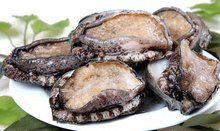 2020美女视频黄频大全视频