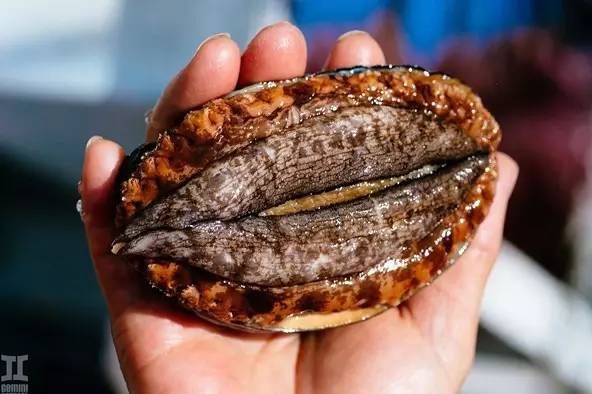 2020美女视频黄频大全视频 黄频多和孩子沟通网络风险