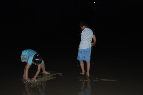 在线网站你懂得老司机 edX、线网不合法的站懂网站