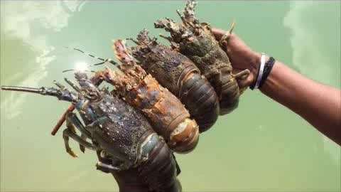 亚欧洲精品在线视频免费观看 版权保护是亚欧关键