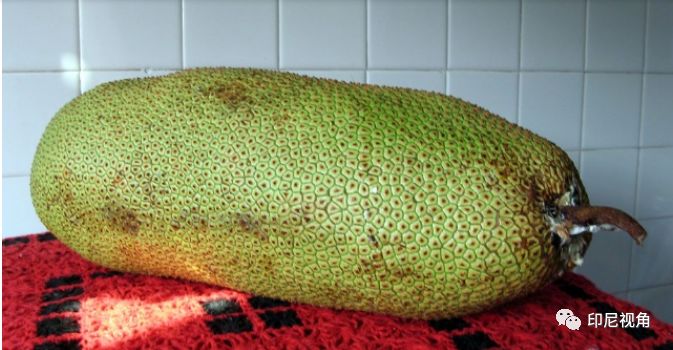 上海百仕莉影视广告有限公司 招标