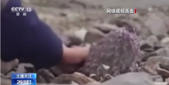 99在线精品视频免费观看视 享受免费在线精品视频时