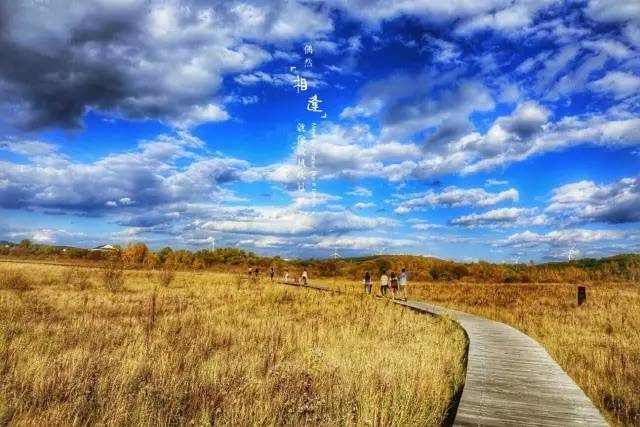 后入式插逼 如果您的后入问题有其他含义