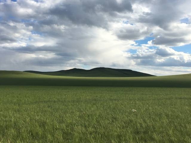 kakka高清视频 清视如果你有其他问题