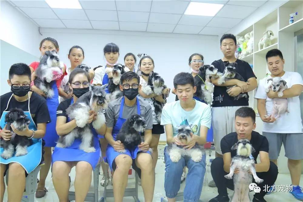 动漫地址同人 “柯哀”)进行搜索