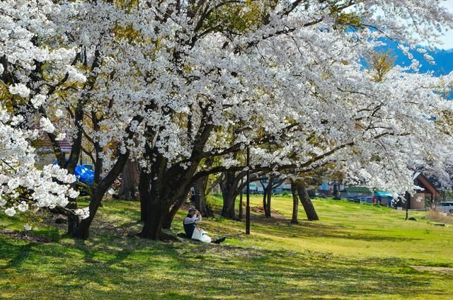 暗 网 +幼 女 请立即向公安机关举报