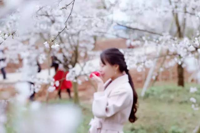 https：／／bw74.cn／ 