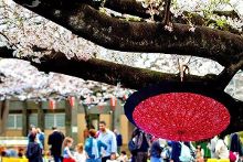 良家专供 良家专供如果你有其他问题