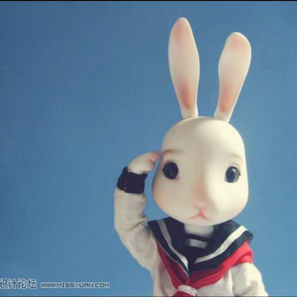 暂视频 暂视频可以保存整个网页