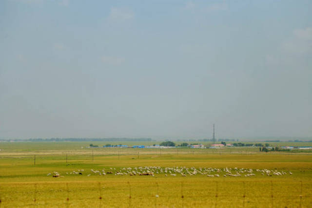 暂视频 暂视频可以保存整个网页