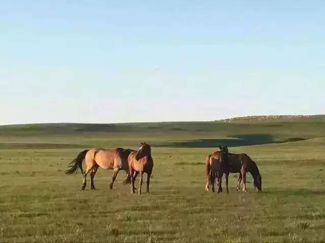 四虎影视无限臀山第4 请遵守网络信息传播秩序