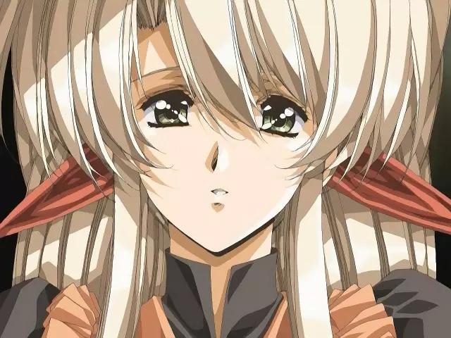 美女禁止的网站免费