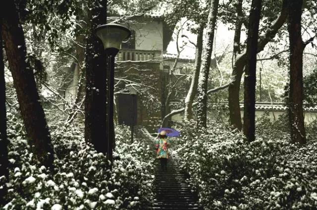 困困狗脐橙 困困方便营销和记忆