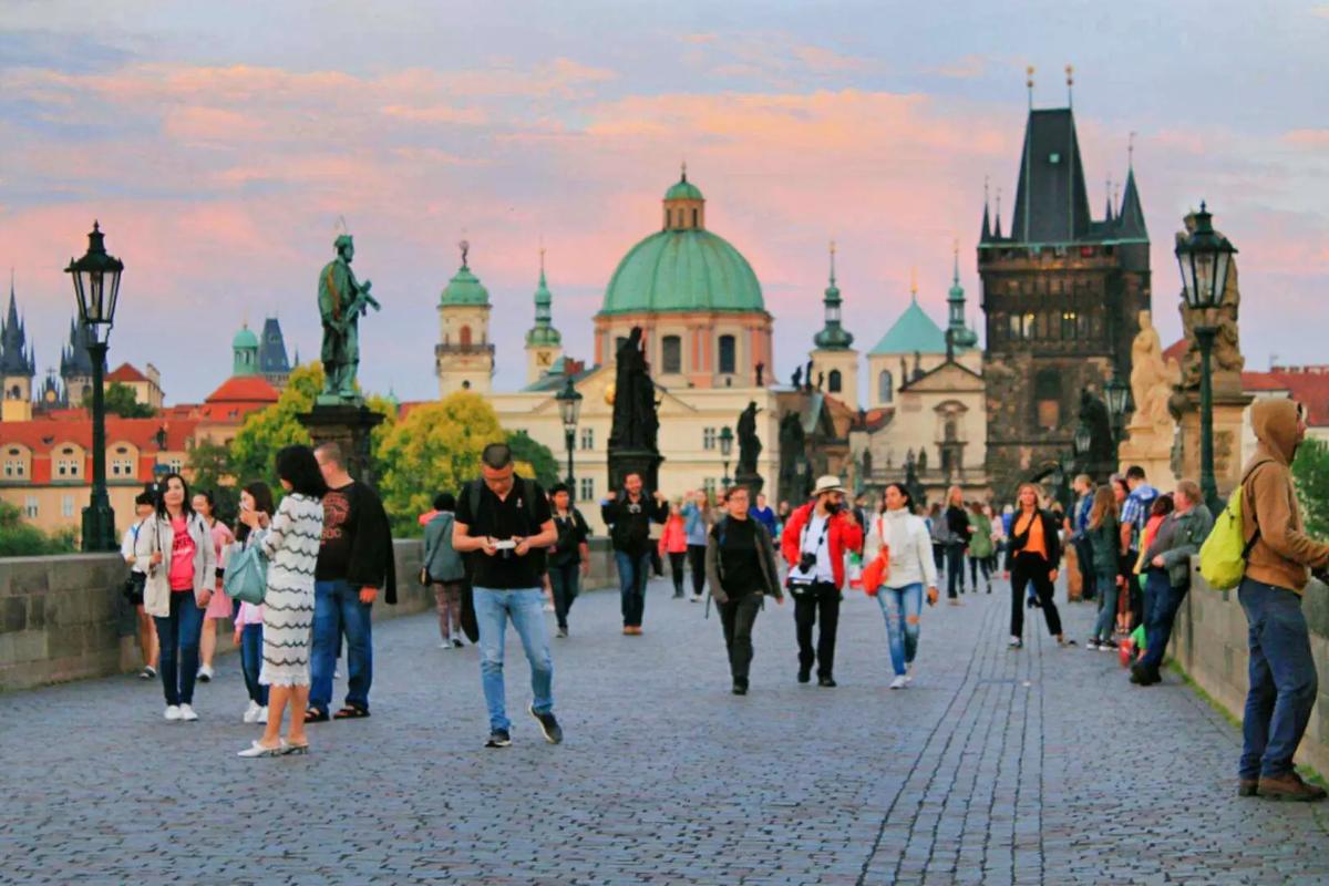 插逼视频播放 我很乐意为你提供支持