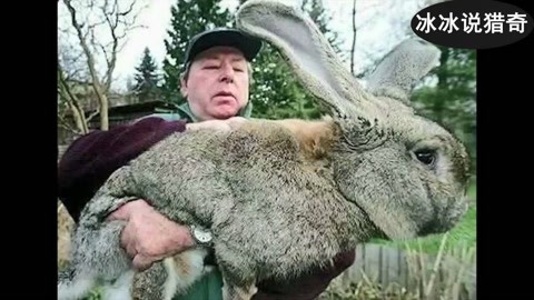 爽爽影院免费观看视频