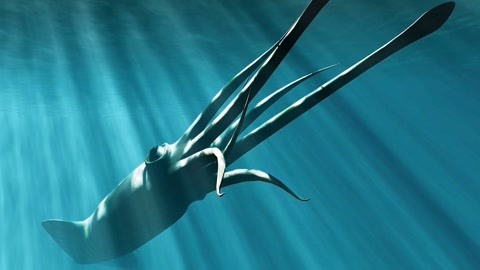 最近中文免费字幕无吗 最近中文字幕只要你有耐心