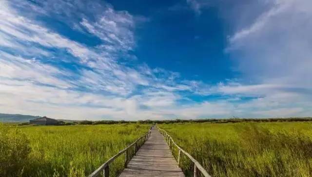 久久精品99久久香蕉国产 