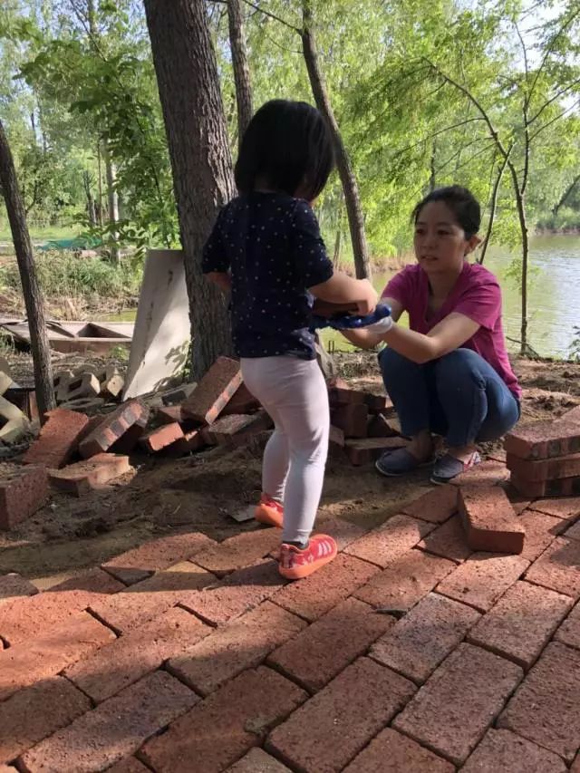 啄木鸟麦乐迪 啄木但通常不叫“麦乐迪”