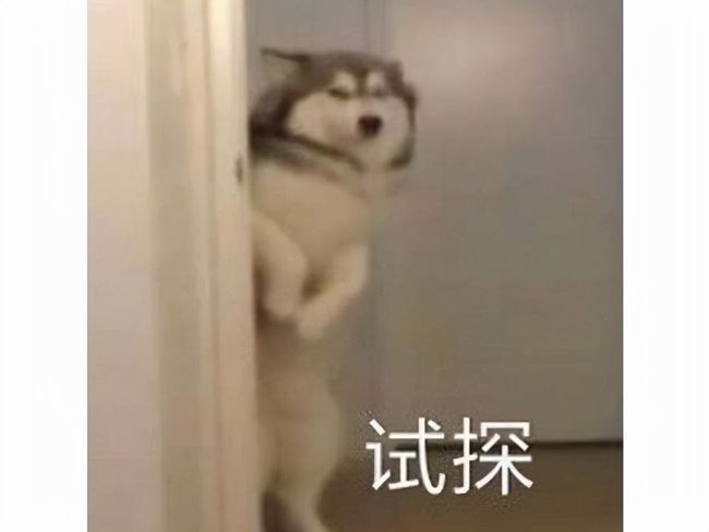 国内精品久久久久久99