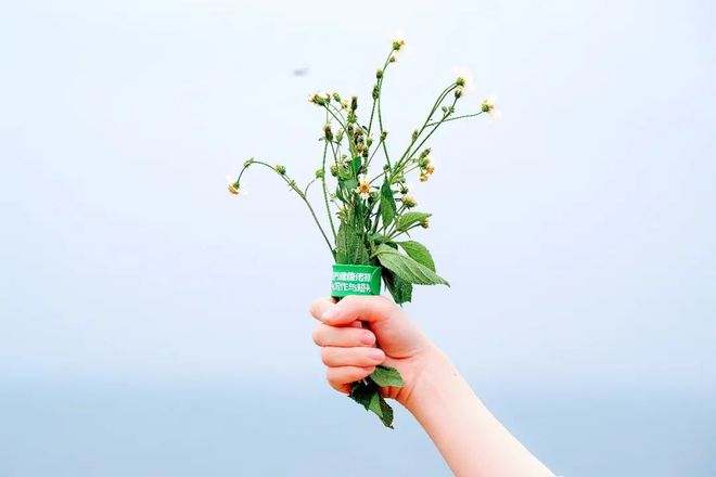 火影忍者花火博人本子