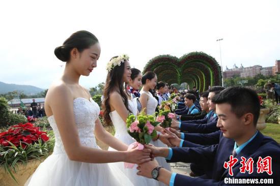 杨思敏电影 杨思敏电影作品不算多